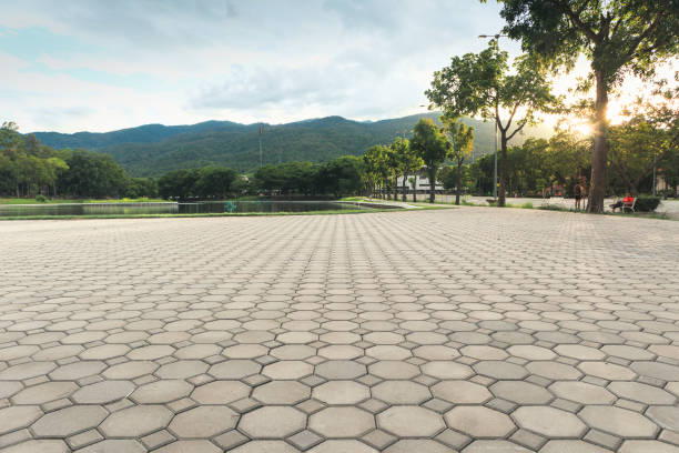Best Paver Driveway Replacement  in Denmark, SC
