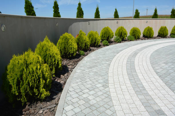 Reasons to Select Us for Your Driveway Paving Requirements in Denmark, SC