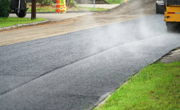 Best Professional Driveway Pavers  in Denmark, SC